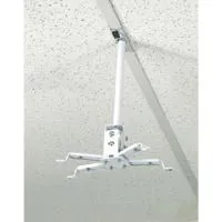 Alzo Digital Short Suspended D Picture