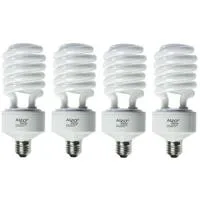 Alzo Digital 45W 220V CFL Vide Picture