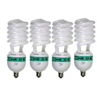 Alzo Digital 85W 220V CFL Vide Picture