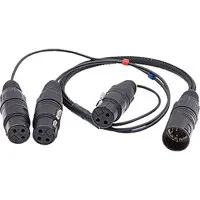Ambient Recording 10" 3x XLR-3 Picture