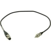 Ambient Recording Adapter Cabl Picture