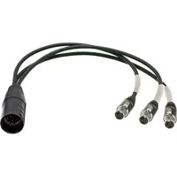 Ambient Recording 7-pin XLR Fe Picture