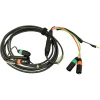 Ambient Recording 13.1' XLR 3- Picture