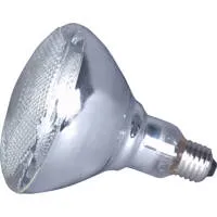American DJ LL PAR38 110V 150W Picture