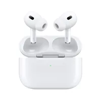 Apple AirPods Pro with MagSafe Picture