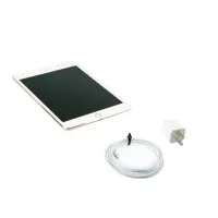 Apple 7.9" iPad Mini 4 Wi-Fi + Picture