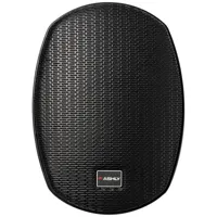 Ashly AW Series AW5.2T+ 5.25"  Picture