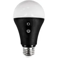 Astera FP5-B NYX 10W LED Bulb  Picture