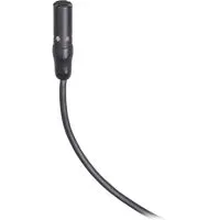 Audio-Technica AT898cH Sub-Min Picture