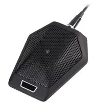 Audio-Technica U891RBO Omnidir Picture