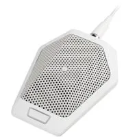 Audio-Technica U891RWB Cardioi Picture