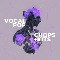 Audiomodern VOCAL POP Expansio Picture