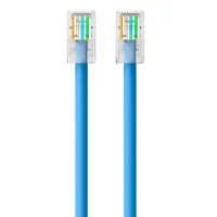 Belkin 14' 24 AWG Cat5e Snagle Picture
