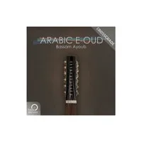 Best Service Arabic E-Oud Cros Picture
