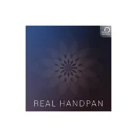 Best Service Real Handpan Virt Picture