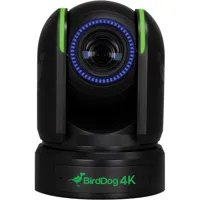 BirdDog P4K 4K UltraHD Full ND Picture