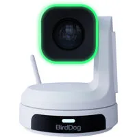 BirdDog X1 Full HD NDI|HX3 20x Picture