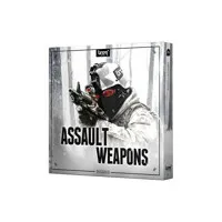 BOOM Library ASSAULT WEAPONS D Picture