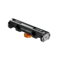 Bright Tangerine 15mm LWS Rose Picture