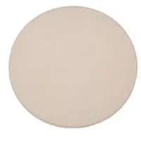 Broncolor 5500 K Matte Protect Picture