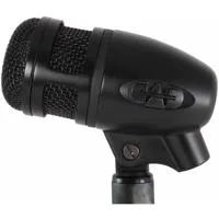 CAD Audio D88 Supercardioid Dy Picture