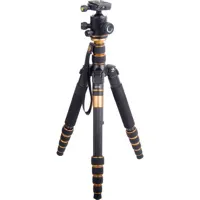 Came-TV Q66C 5-Section Carbon  Picture
