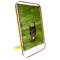 Canetti Colorful Magnet Frame, Picture
