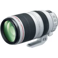 Canon EF 100-400mm f/4.5-5.6L  Picture