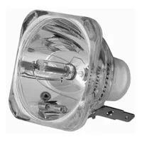 CHAUVET DJ Ushio NSL 300W Lamp Picture
