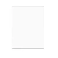 ClearBags 17.43x22.37" Protect Picture