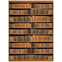 Click Props Bookshelf Backdrop Picture
