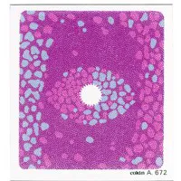 Cokin A672 Pink/Blue Center Sp Picture