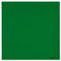 Cokin Z4 Green Filter, 4x4" /  Picture
