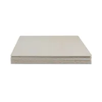 Creality Laser Module Basswood Picture