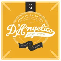 D'Angelico Guitars Prohibition Picture