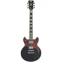 D'Angelico Guitars Premier Bri Picture