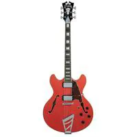 D'Angelico Guitars Premier DC  Picture
