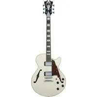 D'Angelico Guitars Premier SS  Picture