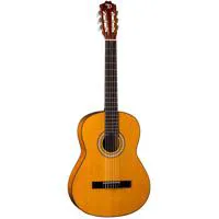 Dean Guitars Classical Acousti Picture