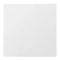 Definitive Technology Paintabl Picture