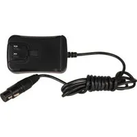 Delvcam 12VDC/3300mA Output to Picture