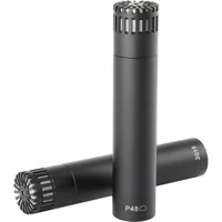 DPA Microphones 2015 Compact W Picture