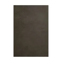Easiframe 8.2x12.5' Cyclorama  Picture