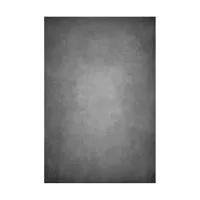 Easiframe 8.2x12.5' Cyclorama  Picture