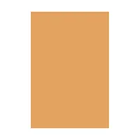 Easiframe 8.2x12.5' Cyclorama  Picture
