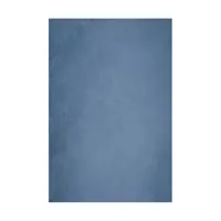 Easiframe 8.2x12.5' Cyclorama  Picture
