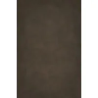 Easiframe 8.2x12.5' Cyclorama  Picture