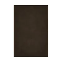 Easiframe 8.2x12.5' Cyclorama  Picture
