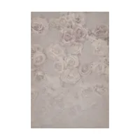 Easiframe 8.2x12.5' Cyclorama  Picture