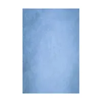 Easiframe 8.2x12.5' Cyclorama  Picture